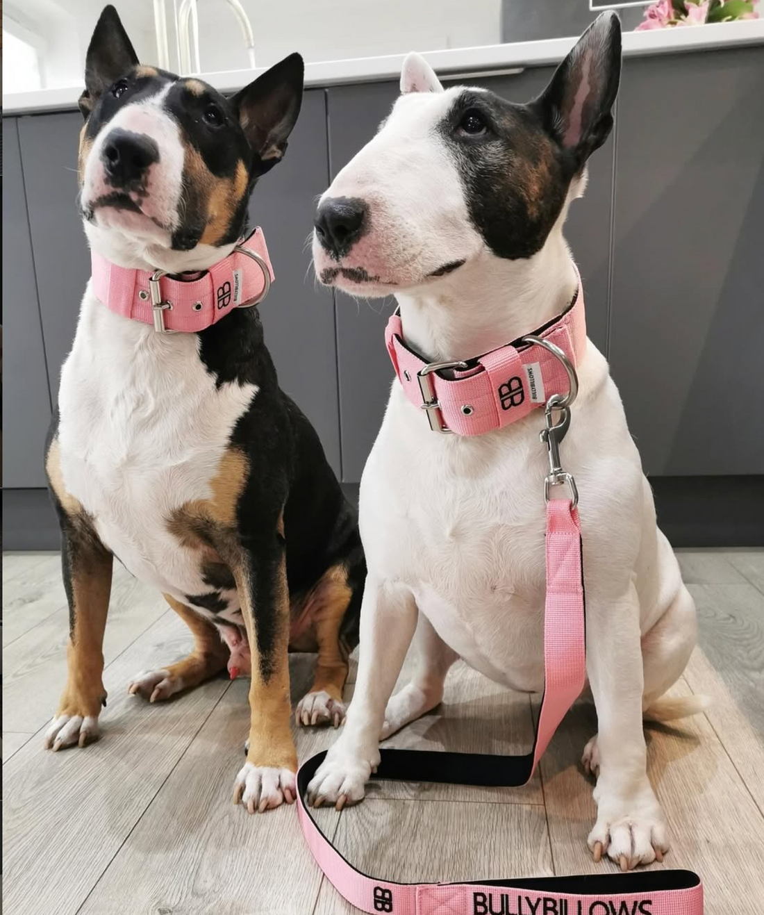 Frankie & Ralph