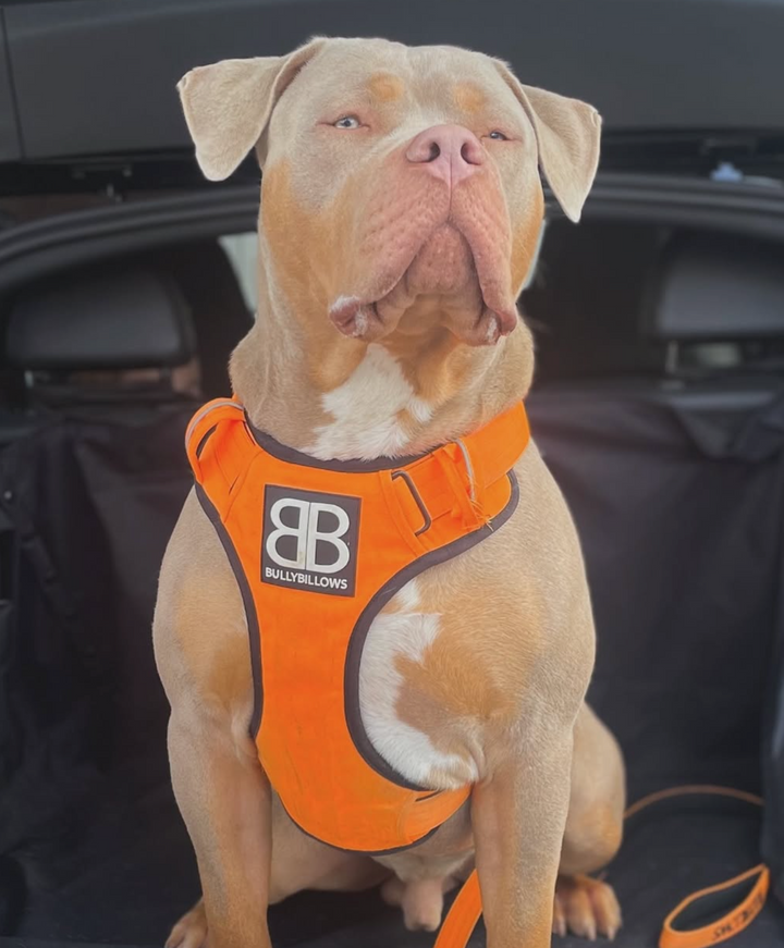 Meko
