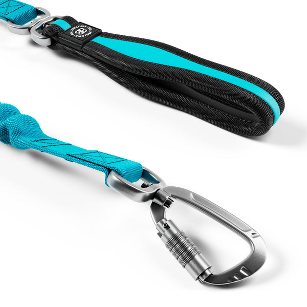 Shock Absorber Lead | Double Ended - Light Blue