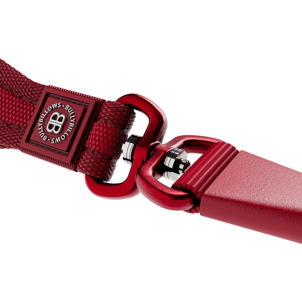 Slip Training Lead | Anti Pull & No Choking -  Nottingham Forest