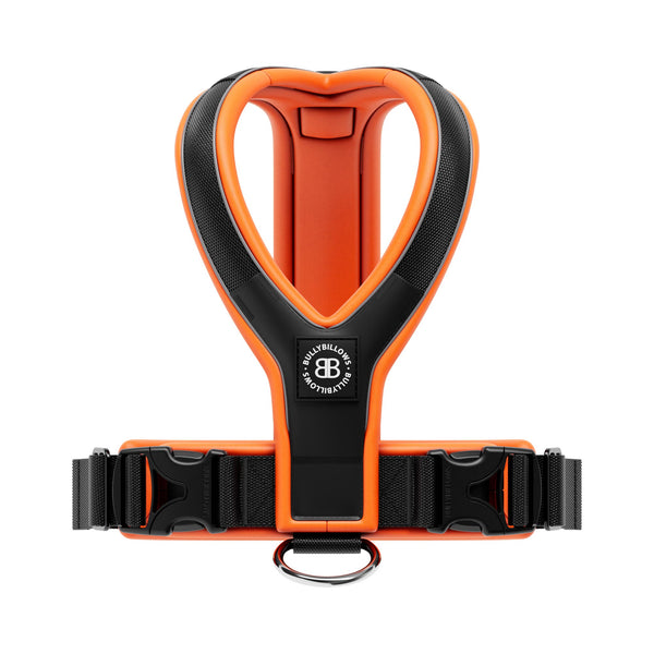 Slip on Harness | Foam Padded - Black x Orange