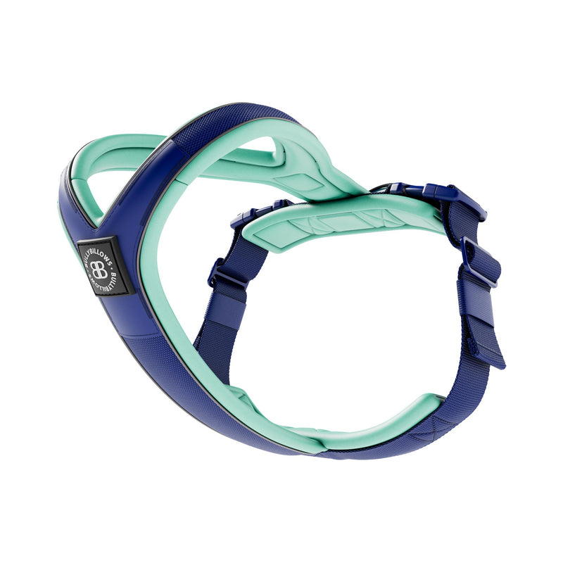 Slip on Harness | Foam Padded - Blue & Turquoise