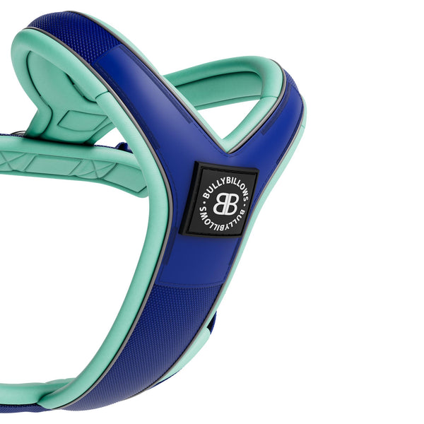 Slip on Harness | Foam Padded - Blue & Turquoise
