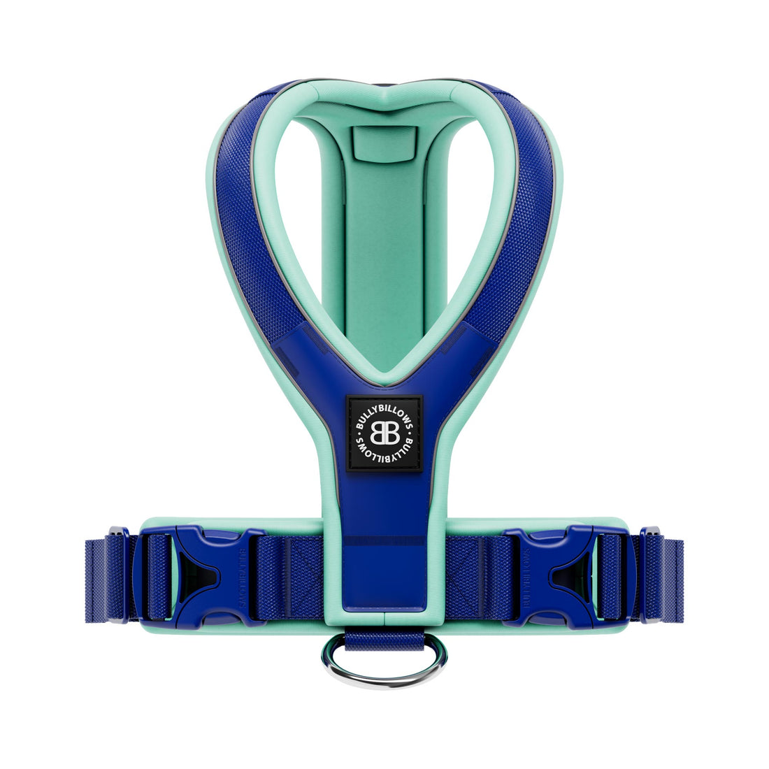 featured image of Slip on Harness | Foam Padded - Blue & Turquoise