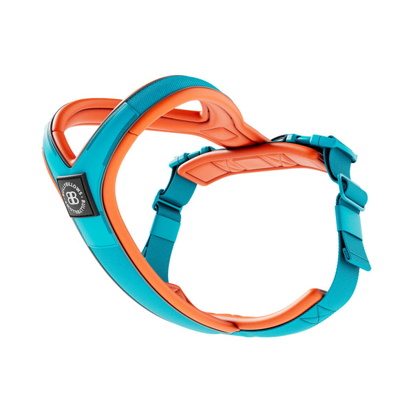 Slip on Harness | Foam Padded - Light Blue x Orange
