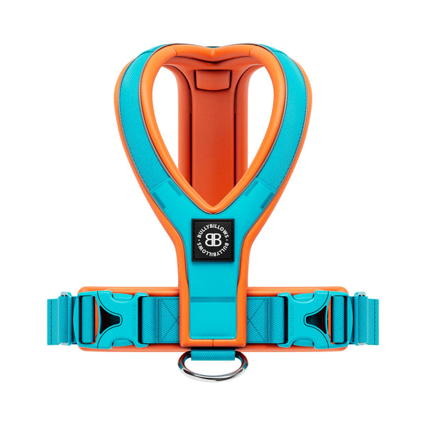 Slip on Harness | Foam Padded - Light Blue x Orange