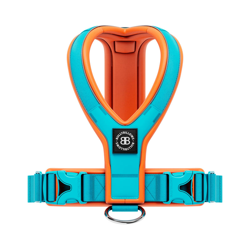 Slip on Harness | Foam Padded - Light Blue x Orange