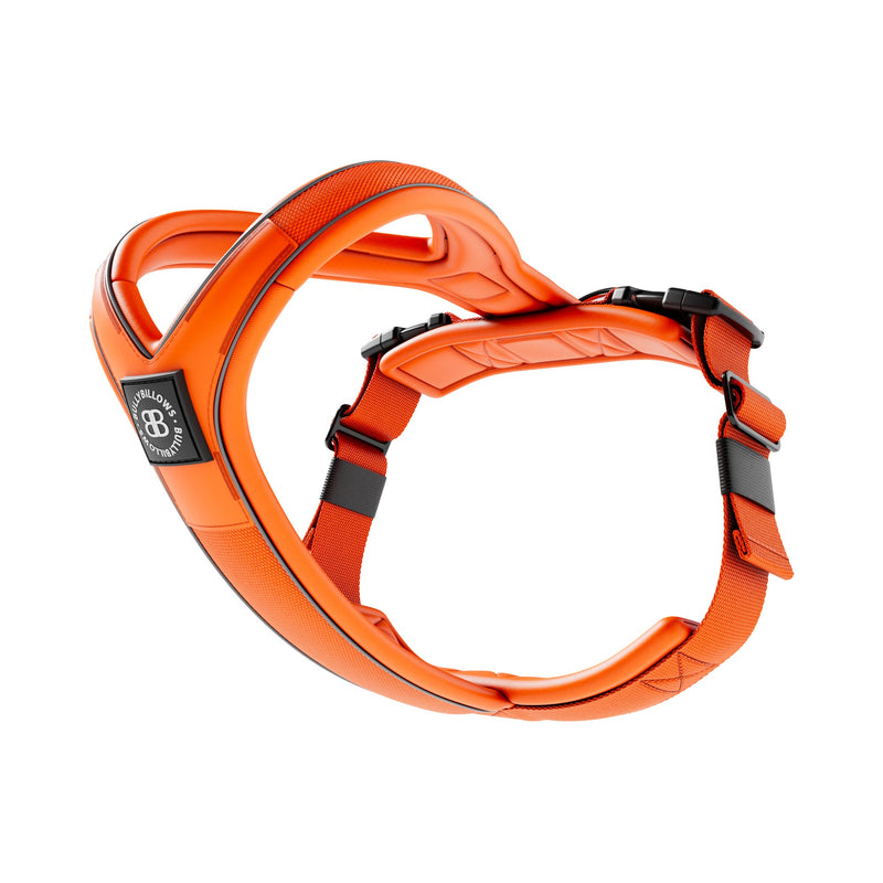 Slip on Harness | Foam Padded - Orange