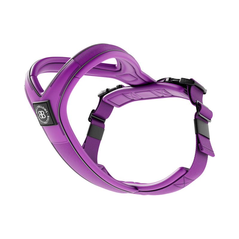Slip on Harness | Foam Padded - Purple