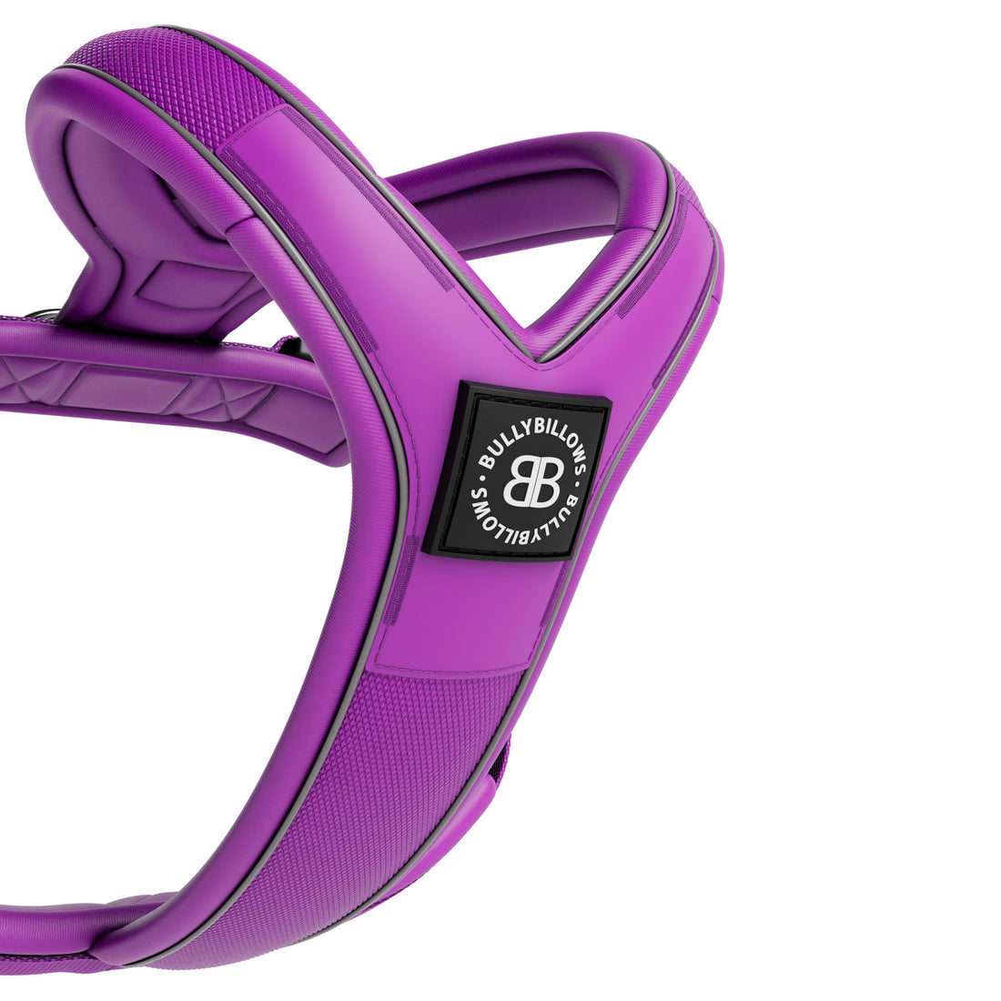featured image of Slip on Harness | Foam Padded - Purple