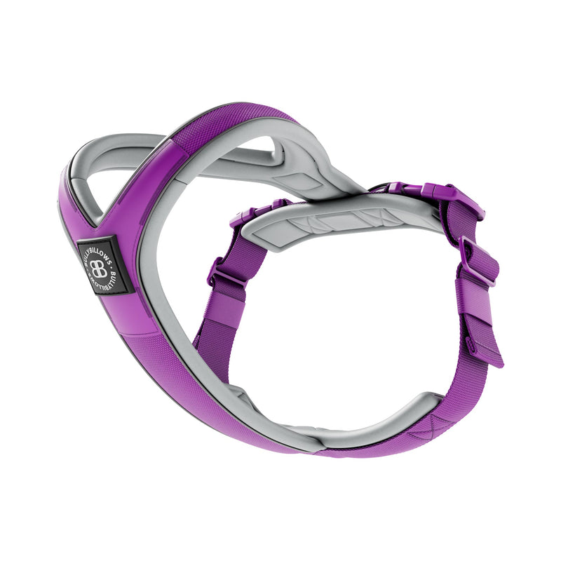 Slip on Harness | Foam Padded - Purple x Metal Grey