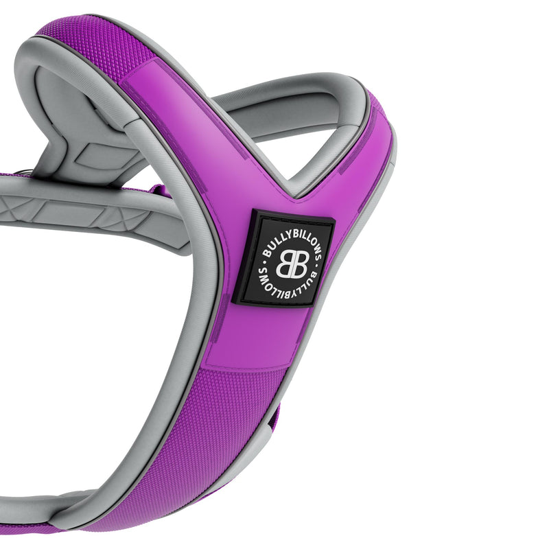 Slip on Harness | Foam Padded - Purple x Metal Grey
