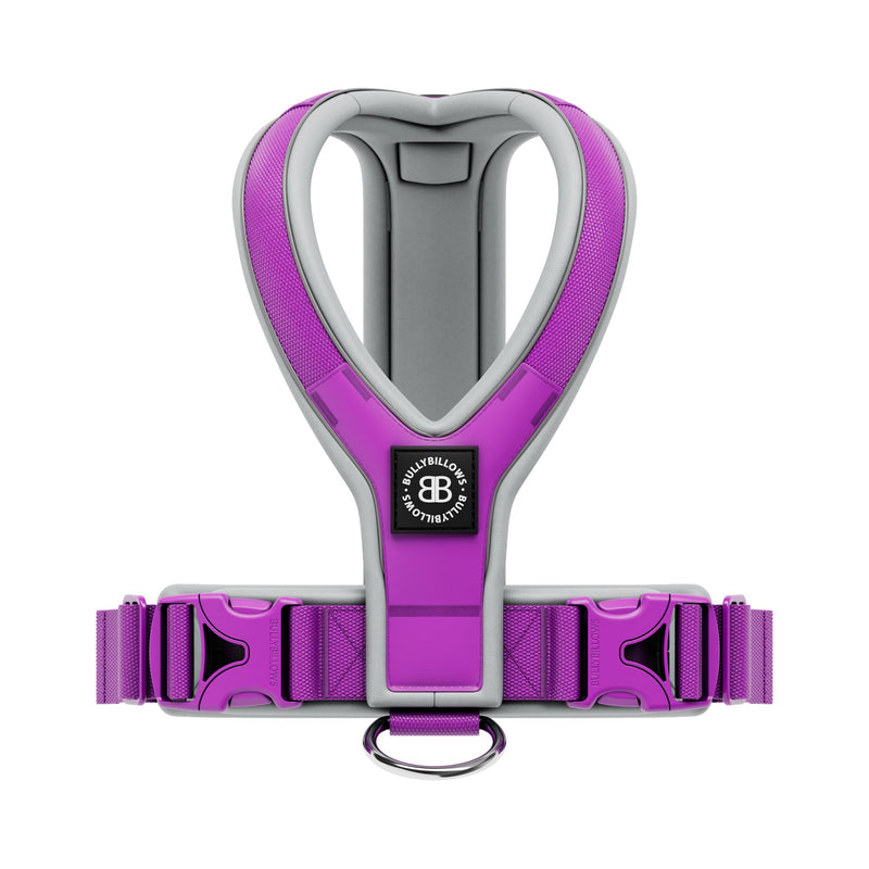 Slip on Harness | Foam Padded - Purple x Metal Grey