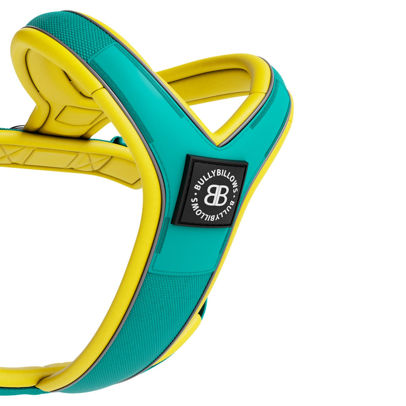 Slip on Harness | Foam Padded - Turquoise x Yellow