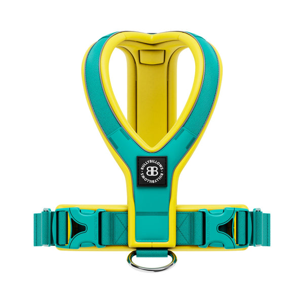 Slip on Harness | Foam Padded - Turquoise x Yellow