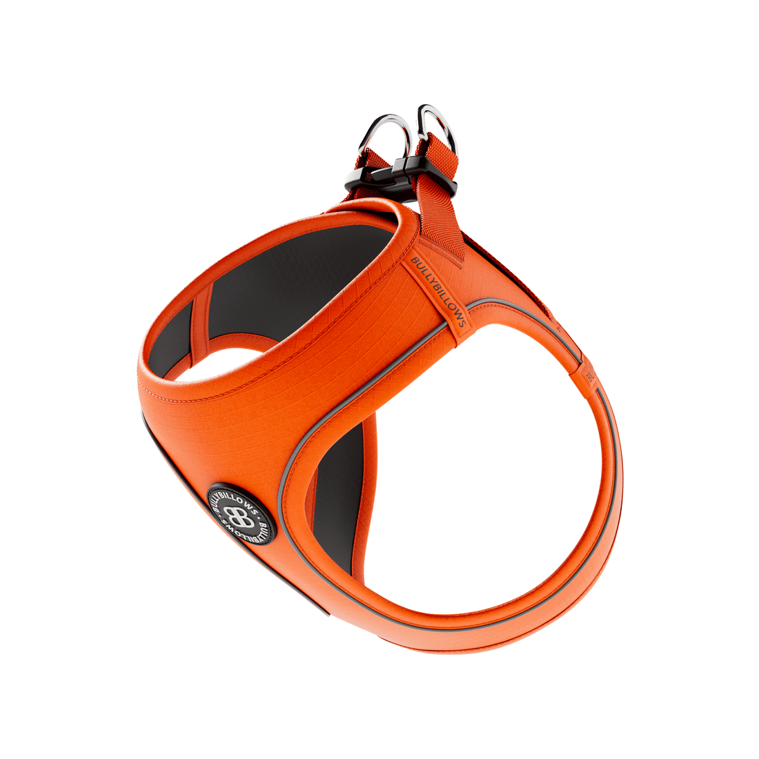 featured image of Step in Harness | XS-M Breeds