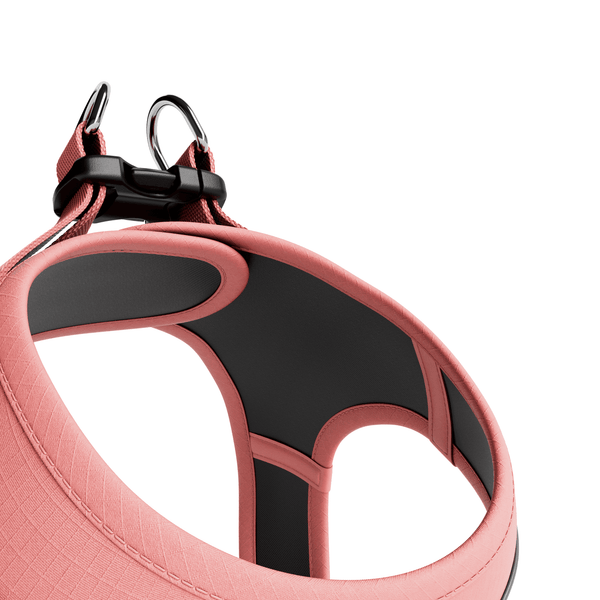 Step in Harness | XS-M Breeds - Pink