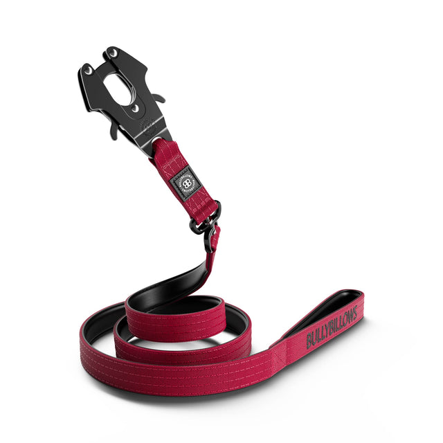 Combat Rope Lead Combat® Clip Leashes – BullyBillows Europe