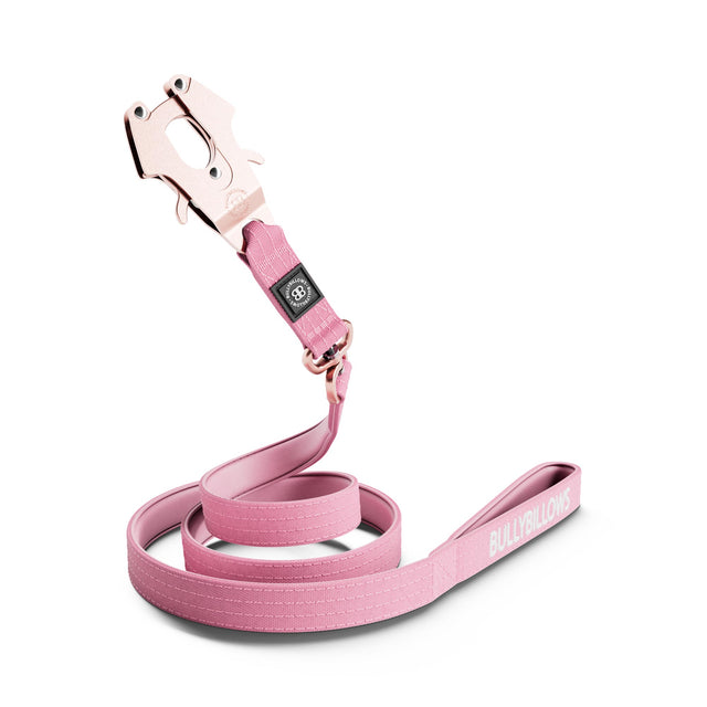 1.4m Lighter Swivel Combat Leash | Anti-Tangle & Secure Clip - Pink x Pink