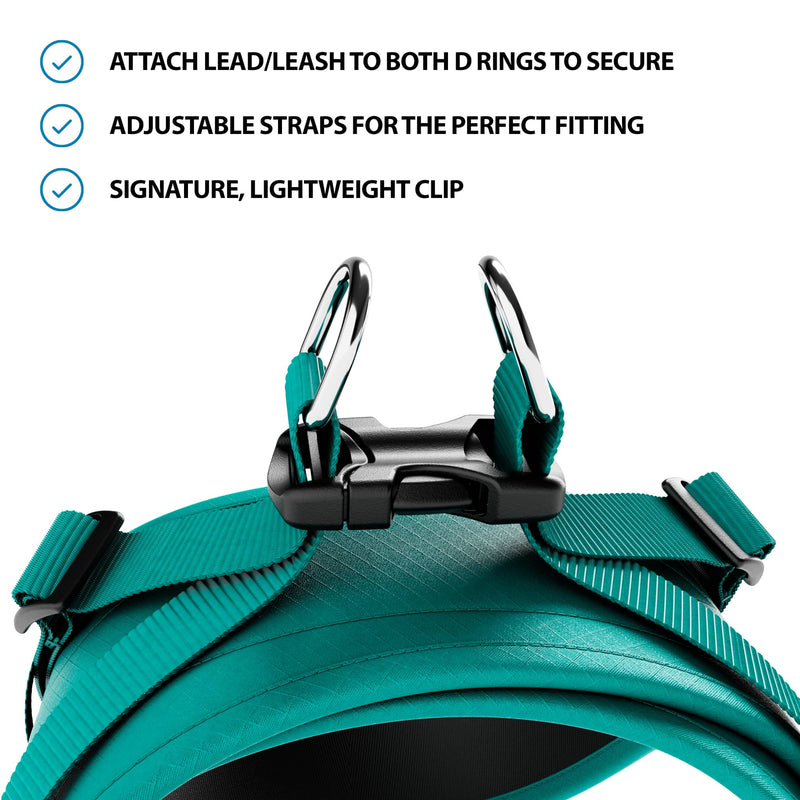 Boomerang Harness - XS-M Breeds - Teal