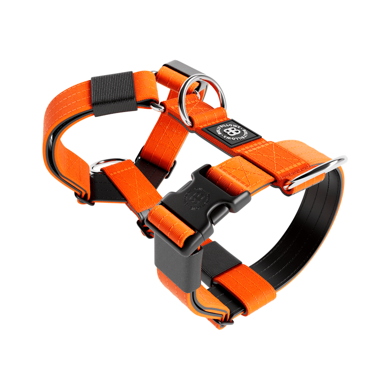 Anti-Pull TRI-Harness® | Training Dog Harness for All Breeds - Orange