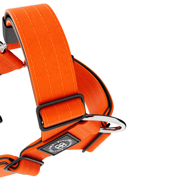 Training Anti Pull TRI-Harness® | M-XL Breeds - Orange