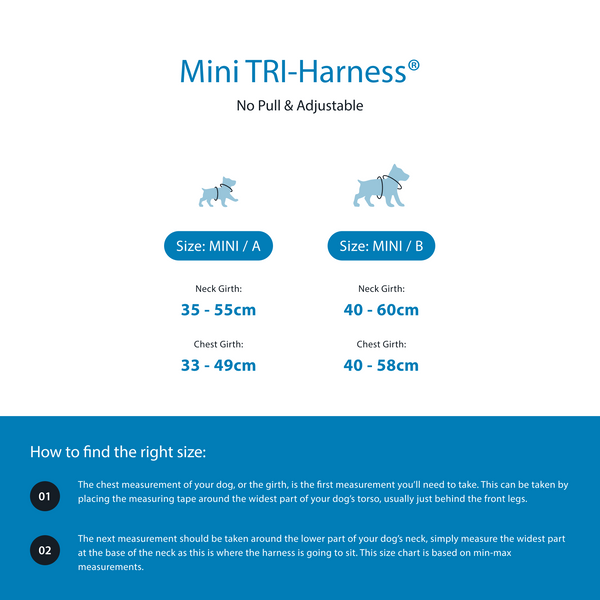 Mini Training Anti Pull TRI-Harness® | Small Breeds - Lightning