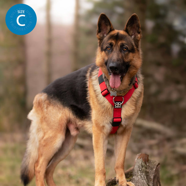 Anti-Pull TRI-Harness® | Training Dog Harness for All Breeds - Red