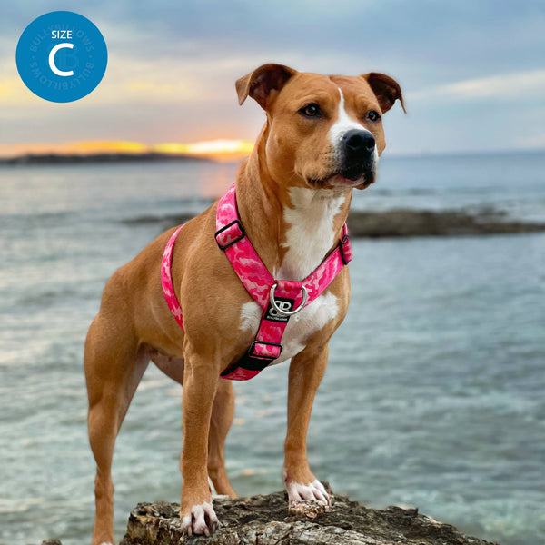 Anti-Pull TRI-Harness® | Training Dog Harness for All Breeds - Tan