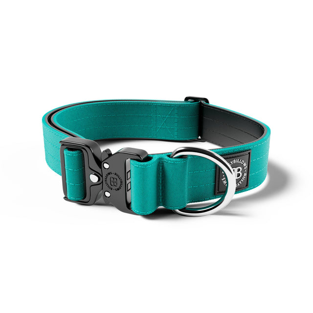4cm Combat® Collar | No Handle & Secure Clip - Turquoise