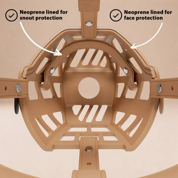 Premium Comfort Muzzle with 2 Straps - Doug Special Edition