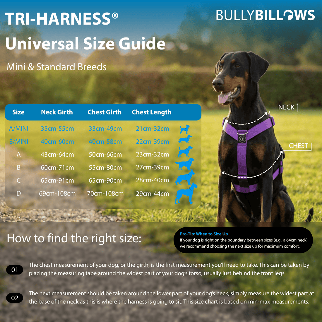 featured image of Anti-Pull TRI-Harness® | Training Dog Harness for All Breeds - Black