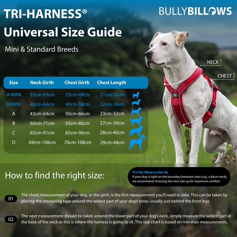 Anti-Pull TRI-Harness® | Training Dog Harness for All Breeds - Light Blue