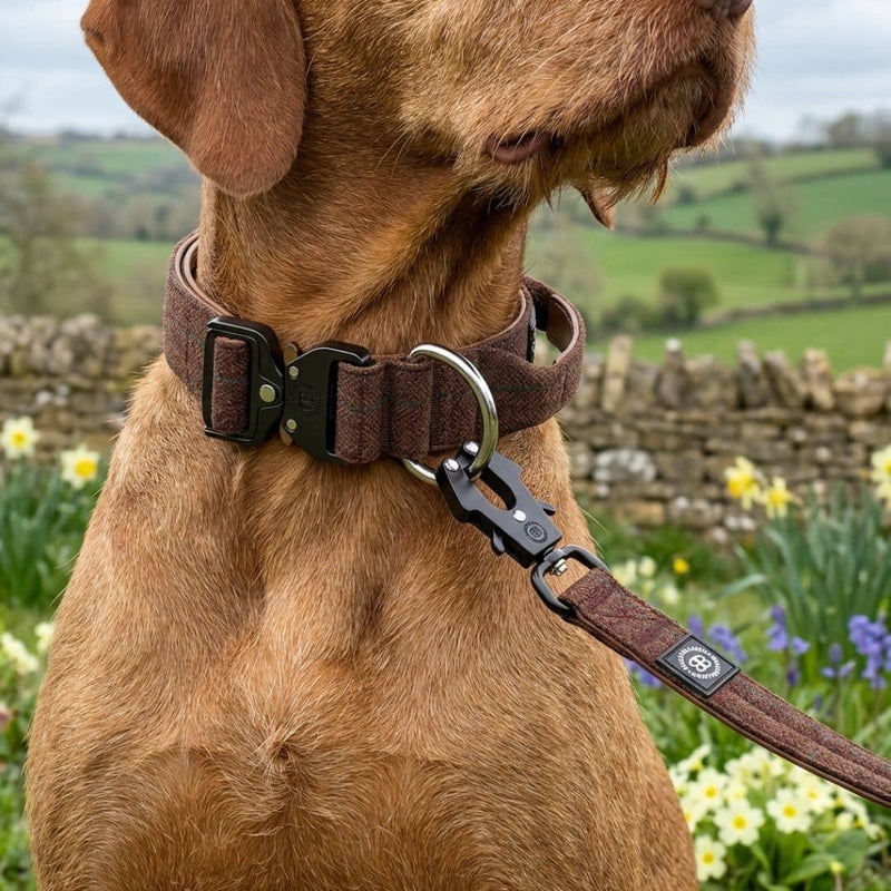 4cm Tweed Combat® Collar | With Handle & Secure Clip - Classic Tan