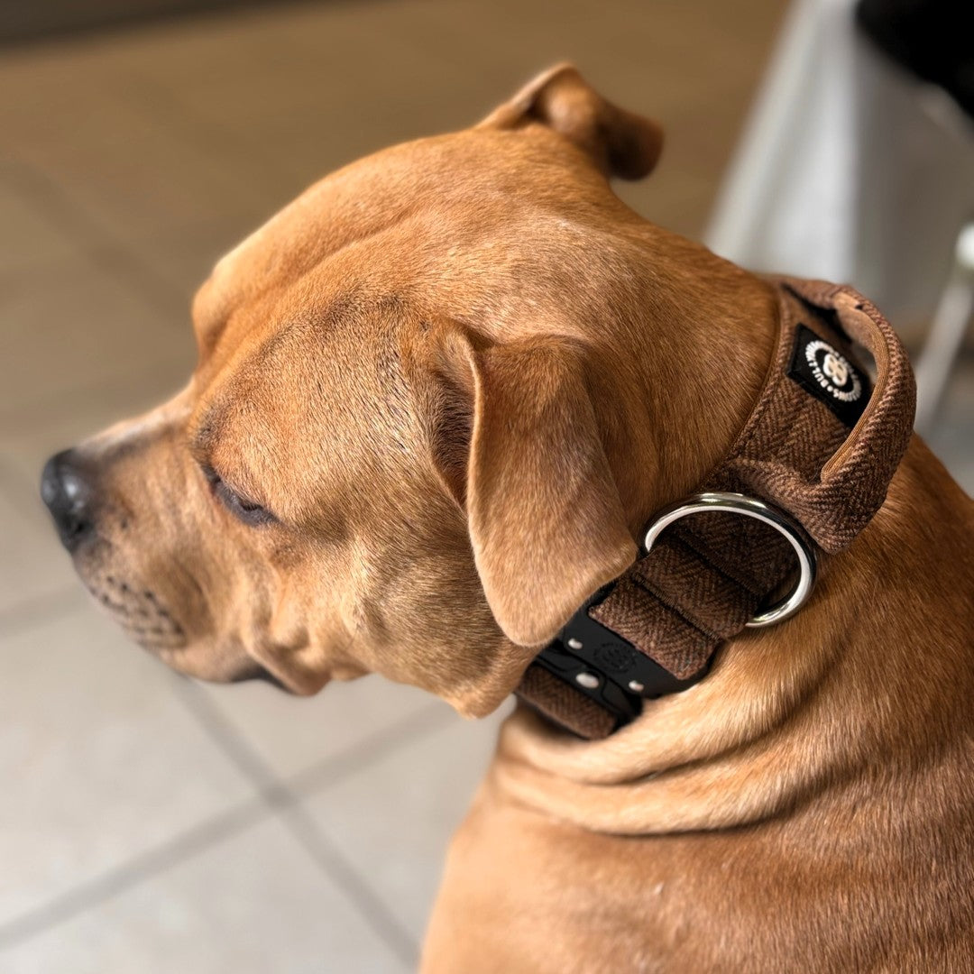 featured image of 4cm Tweed Combat® Collar | With Handle & Secure Clip - Classic Tan