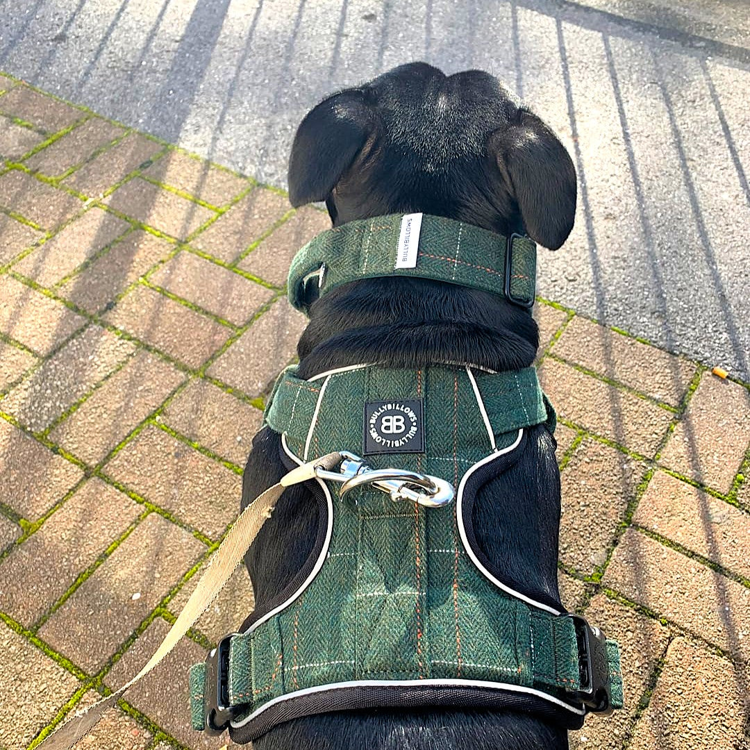 featured image of 4cm Tweed Combat® Collar | With Handle & Secure Clip - Forest Green