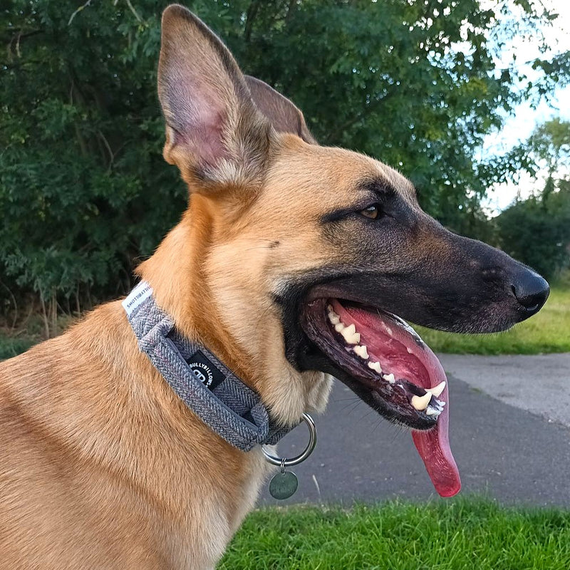 4cm Tweed Combat® Collar | With Handle & Secure Clip - Stone Grey