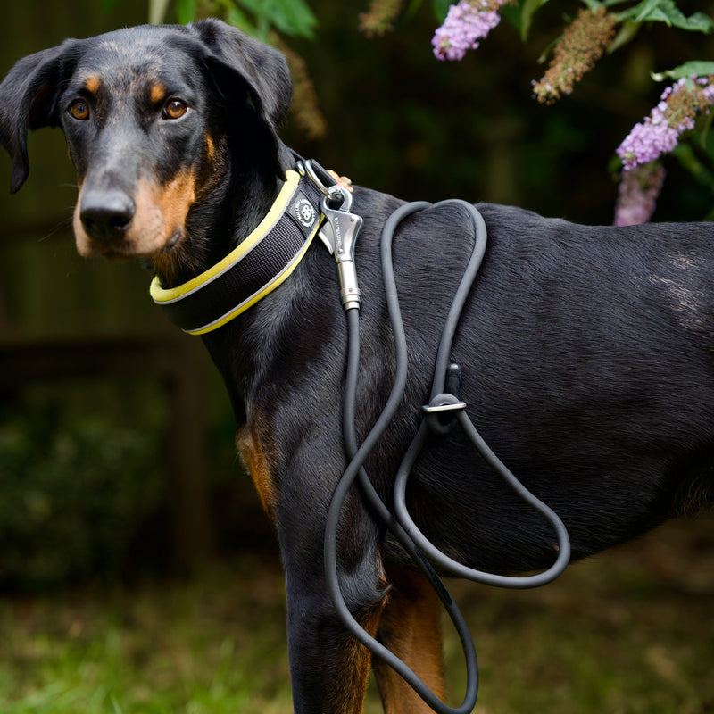 Cord Lead 2.2meters - Black