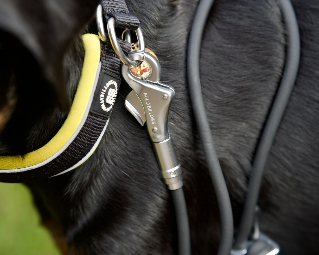 featured image of Cord Leash 2.2meters - Black