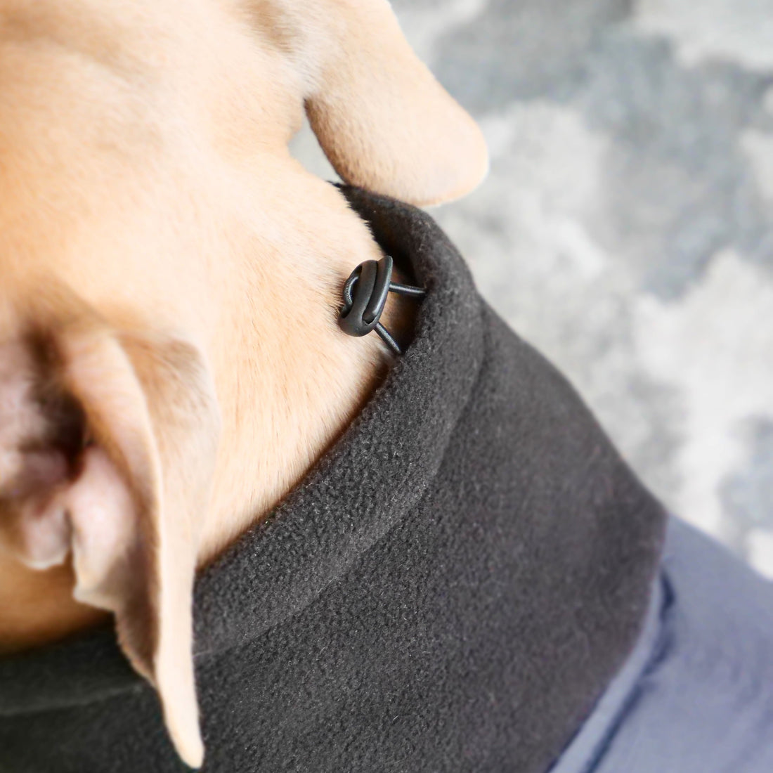 featured image of Dog Coat With Zip - Shower Proof - Black