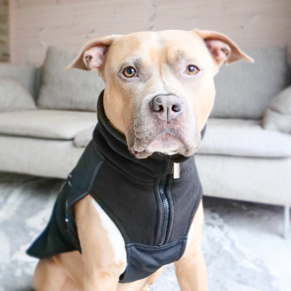 Dog Coat With Zip - Shower Proof - Black