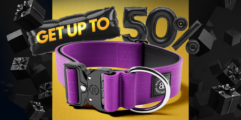 UP TO 50% OFF 4cm Combat® Collars