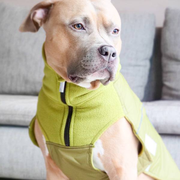 Dog Coat With Zip - Shower Proof - Olive Green