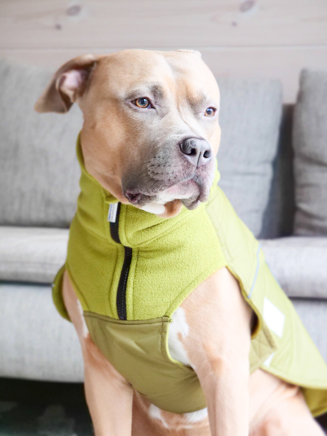 featured image of Dog Coat With Zip - Shower Proof - Olive Green