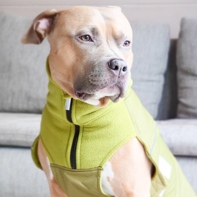 Dog Coat With Zip - Shower Proof - Olive Green