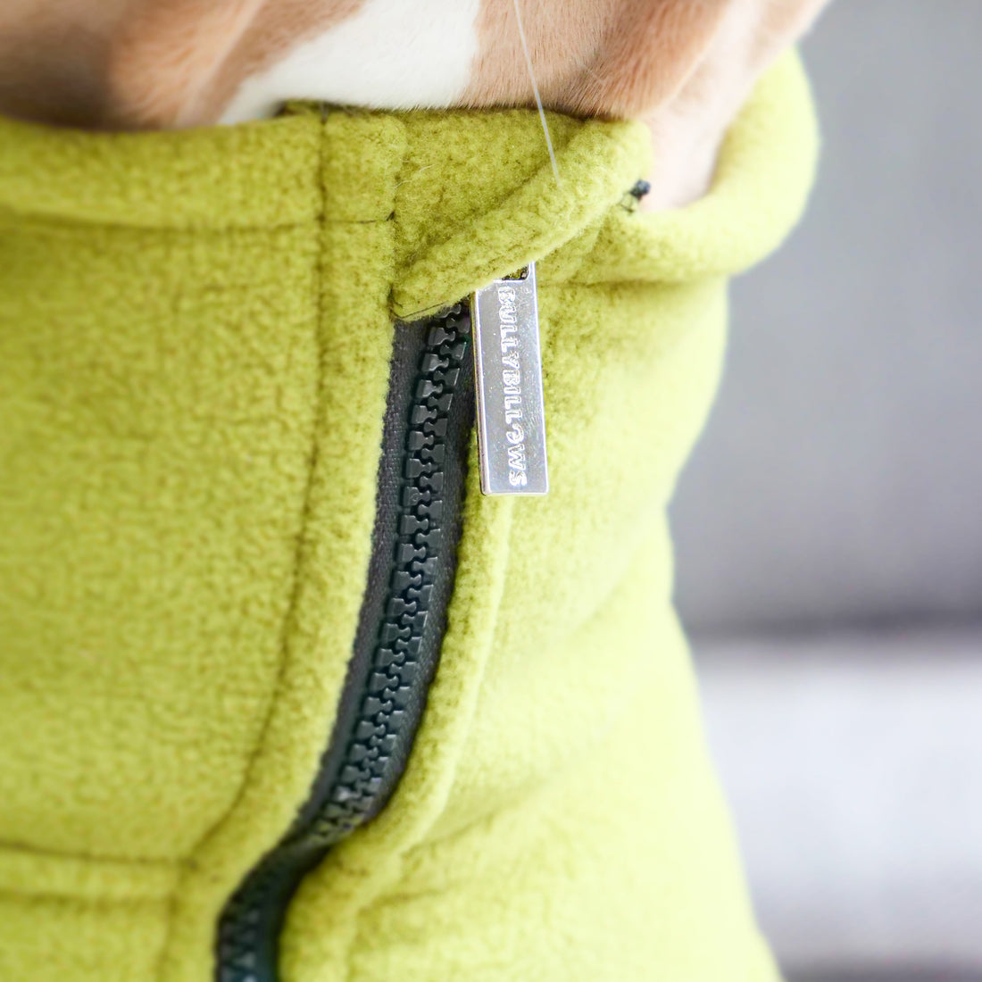 featured image of Dog Coat With Zip - Shower Proof - Olive Green