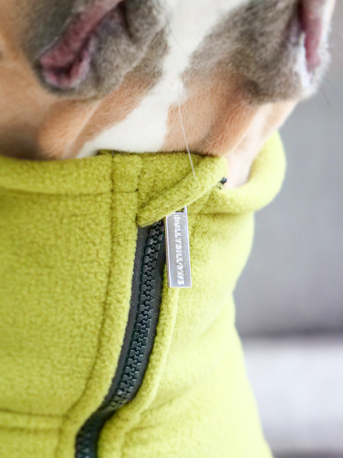 featured image of Dog Coat With Zip - Shower Proof - Olive Green
