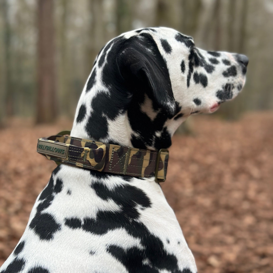 featured image of 4cm Lighter Combat® Collar | With Handle Rated Clip - Green Camouflage