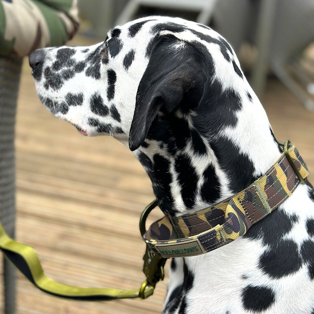 featured image of 5cm Lighter Combat® Collar | With Handle Secure Clip - Green Camouflage