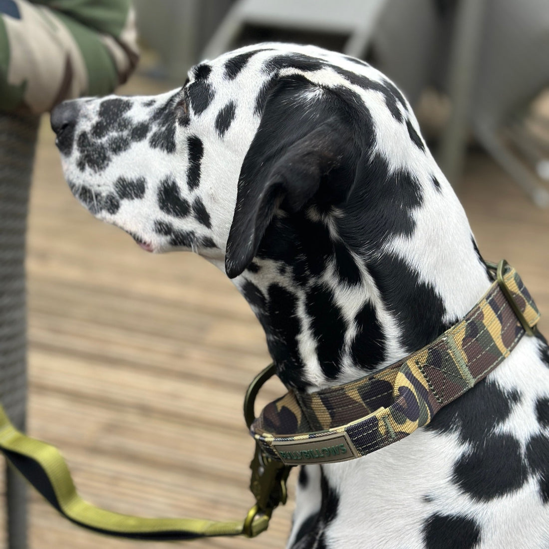 featured image of 4cm Lighter Combat® Collar | With Handle Rated Clip - Green Camouflage